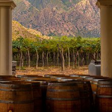 οινοποιείο