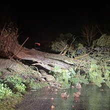 Πεσμένο δένδρο στη νότια Γαλλία