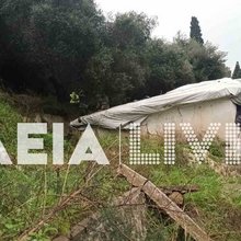 Δέντρο έπεσε σε σπίτι στο Κατάκολο Ηλείας