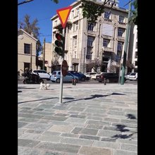 Φανάρι Βασιλίσσης Όλγας