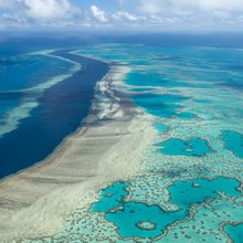 Μεγάλος Κοραλλιογενής Ύφαλος. 