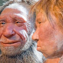 Aναπαράσταση Νεάντερταλ στο ομώνυμο μουσείο στην Γερμανία