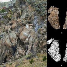 Απίστευτη ανακάλυψη σε σπήλαιο στο Όρεγκον των ΗΠΑ