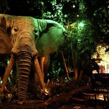 Μέσα σε ένα εμπορικό κέντρο της δεκαετίας του 1990, μια ώρα ανατολικά του κέντρου του Λος Άντζελες, υπάρχει ένα μέρος όπου ο χρόνος μοιάζει να έχει κολλήσει πεισματικά σε μια άλλη εποχή / INSTAGRAM