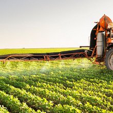 Φωτογραφία Shutterstock