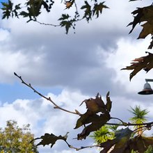 Ανοιξιάτικος καιρός 