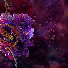 καρκίνος DNA