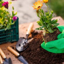 Το χώμα στις γλάστρες χρειάζεται τη δική του φροντίδα 