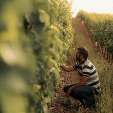 Costa Lazaridi Estates