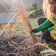 Καθαρισμός οικοπέδου χορτα καροτσι