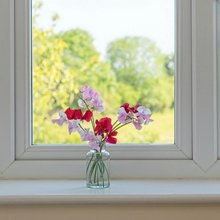 παράθυρα και βάζο με λουλούδια