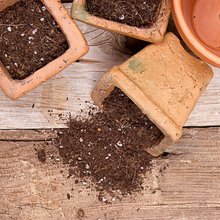 Όταν έρθει η στιγμή να ανανεώσετε τις γλάστρες σας, μπορεί να αναρωτιέστε αν χρειάζεται να αντικαταστήσετε το χώμα σας / SHUTTERSTOCK