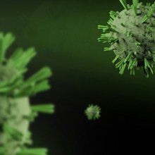 Hantavirus