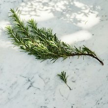 Δενδρολίβανο: Το αρωματικό φυτό που φρεσκάρει και θωρακίζει το σπίτι -Κρατά τα ανεπιθύμητα έντομα μακριά
