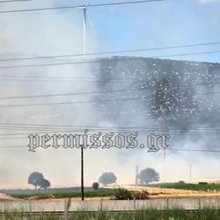 Φωτιά τώρα κοντά στην Εθνική Οδό στο ύψος της Ριτσώνας