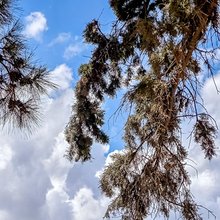 Αίθριος ο καιρός σήμερα 