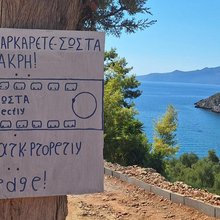 πινακίδα viral