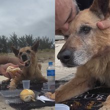 Ο Ηρακλής πέρασε την τελευταία του μέρα γεμάτος αγάπη και φροντίδα /