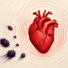 Μια νέα μελέτη που δημοσιεύθηκε στο επιστημονικό περιοδικό Science φαίνεται να δίνει την πιο πειστική μέχρι σήμερα απάντηση σε αυτό το βιολογικό αίνιγμα / ISTOCK