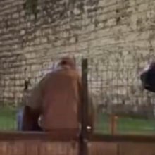 Βίντεο: Αστυνομικό drone προειδοποιεί κάτοικο που πίνει αλκοόλ σε δρόμο της Κωνσταντινούπολης -Έμοιαζε με σκηνή από Sci-Fi ταινία