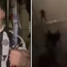 Ο οπαδός της Παρτιζάν