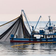 Νέα εποχή για την ελληνική αλιεία: Ψηφιακός έλεγχος, νέο σύστημα κυρώσεων -O Σπύρος Πρωτοψάλτης στο iefimerida για το θεσμικό πλαίσιο