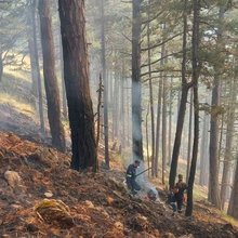 Βελτιωμένη η εικόνα της φωτιάς στην Κόνιτσα -Οι δασοκομάντος κατάφεραν να φτάσουν σε απόκρημνα σημεία στο δάσος, δείτε εικόνες
