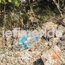 Τα οστά που βρέθηκαν στην Κυψέλη
