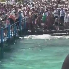 Viral και στο εξωτερικό το βίντεο από τον Μπάλο: Απίστευτος συνωστισμός, με πλήθη τουριστών