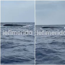 Συνεχίζονται οι έρευνες για τον αγνοούμενο κυβερνήτη ταχύπλοου που ανετράπη στην Κυλλήνη -Βίντεο του iefimerida από το σημείο