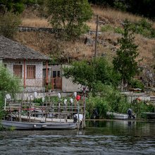 Επιβεβαιώθηκε ιός στα νεκρά ψάρια της Παμβώτιδας