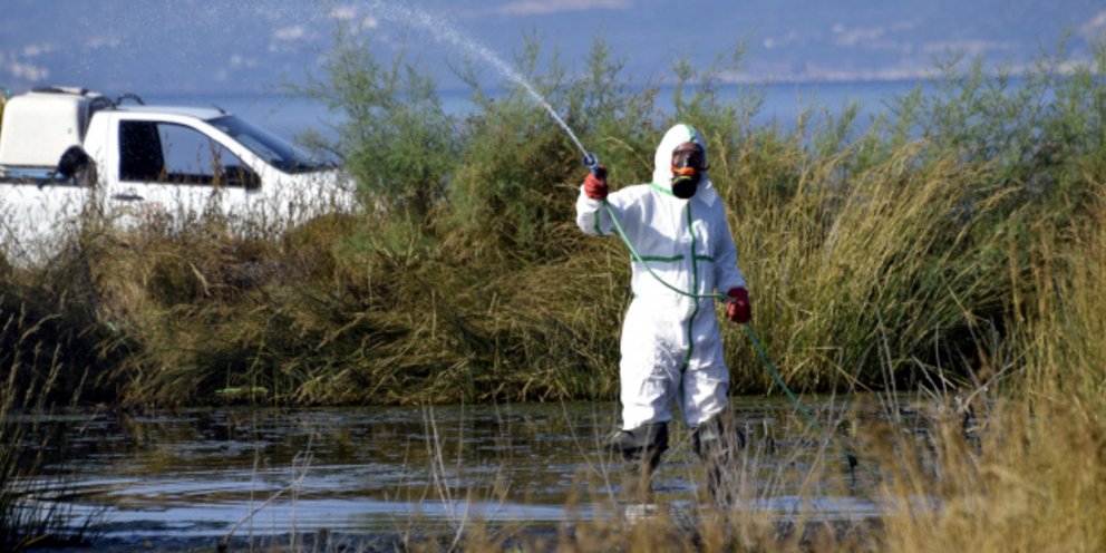 Ξεκίνησαν οι ψεκασμοί για τα κουνούπια στην Αττική - iefimerida.gr