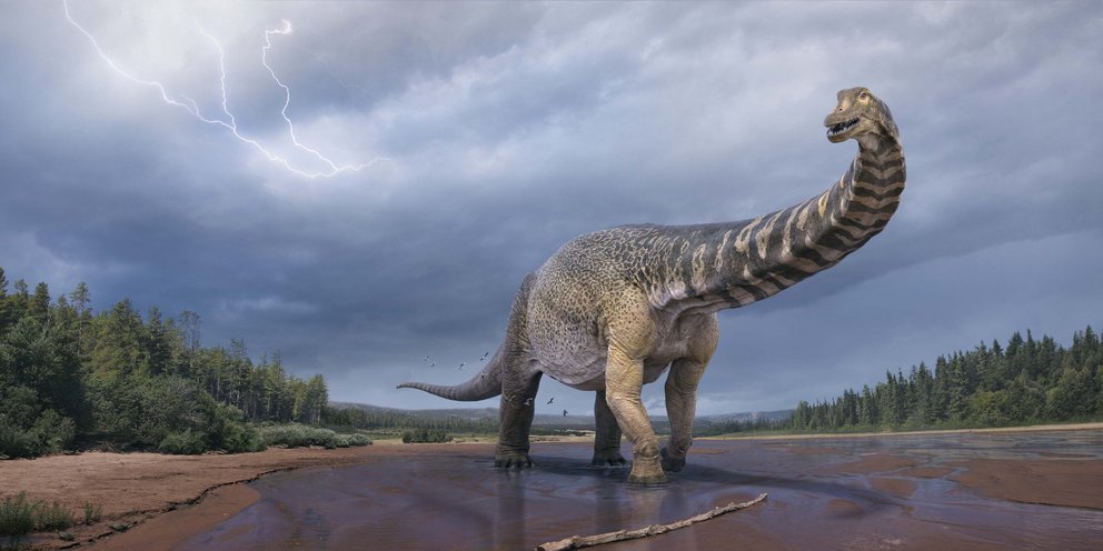 «Αυστραλοτιτάν»: Ο δεινόσαυρος που είχε μήκος όσο ένα γήπεδο μπάσκετ και ύψος δύο ορόφων | ΚΟΣΜΟΣ