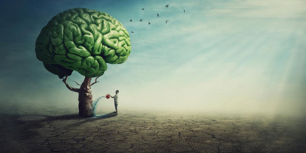 Η απλή ερώτηση που αποκαλύπτει αν κάποιος είναι πραγματικά έξυπνος -Σε μόλις 1 λεπτό