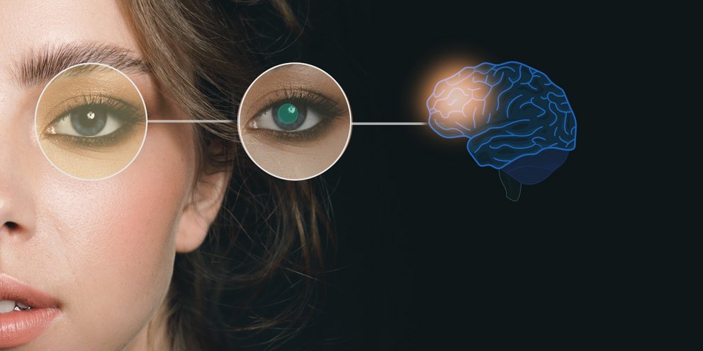 Επιστήμονες βρήκαν ότι ο εγκέφαλος δίνει εντολές στα μάτια μας χωρίς να το συνειδητοποιούμε
