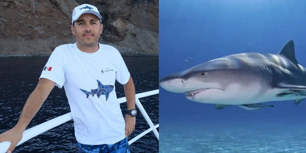 Έπειτα από τρεις δεκαετίες εργασίας στον βυθό, ο θαλάσσιος βιολόγος βρέθηκε να παλεύει για τη ζωή του σε μια στιγμή που θα μπορούσε να αποδειχθεί μοιραία / INSTAGRAM