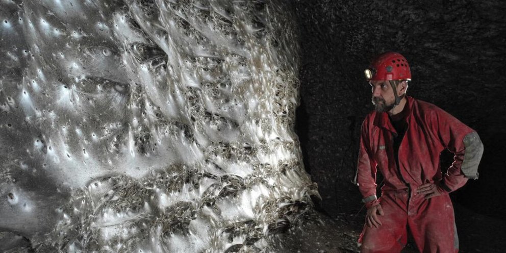 Ο μεγαλύτερος ίσως, ιστός αράχνης εντοπίστηκε στα σύνορα Ελλάδας - Αλβανίας