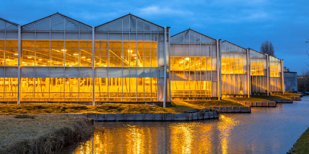 Φωτισμένα θερμοκήπια στην Ολλανδία