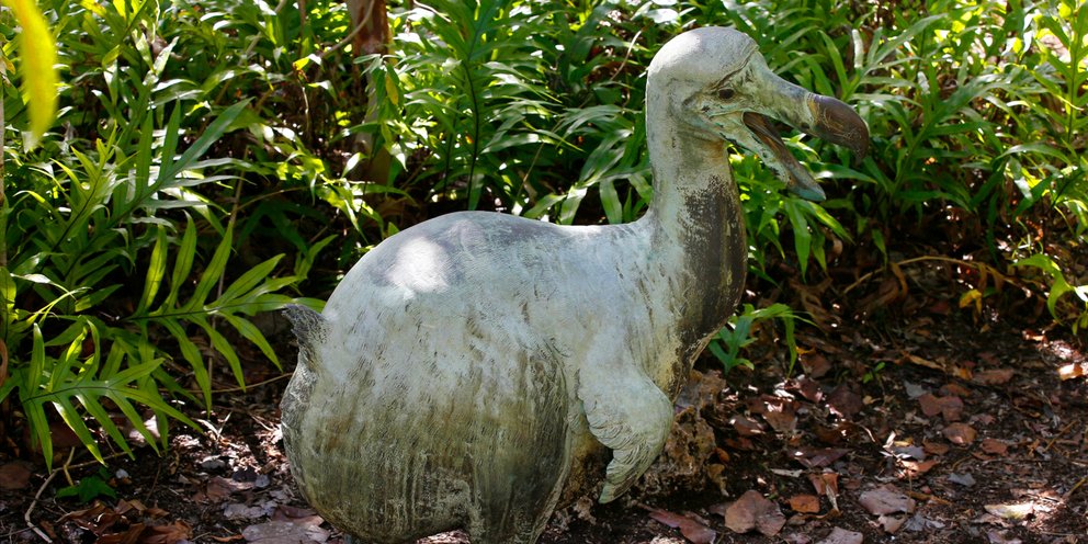 Ομοίωμα του αφανισμένου πτηνού «ντόντο» στο νησί του Μαυρίκιου στον Ινδικό Ωκεανό