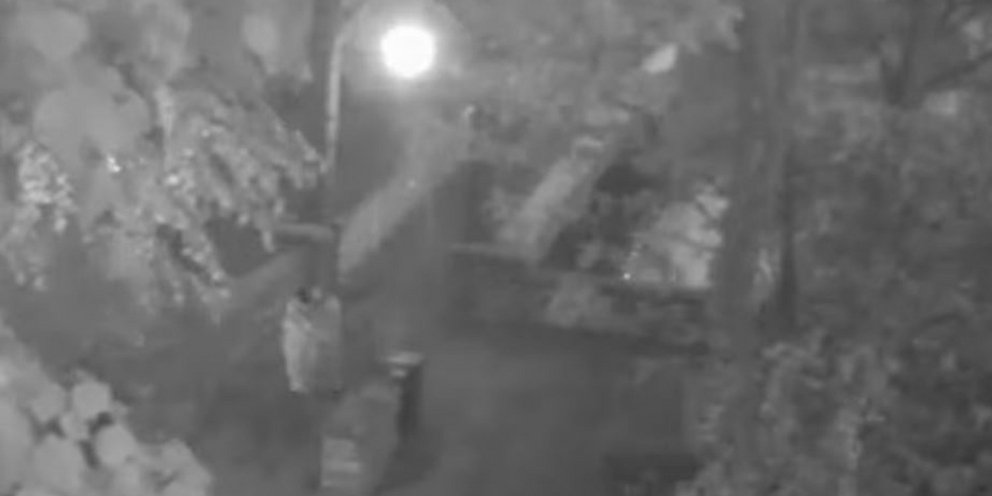 Θύμα σεξουαλικής κακοποίησης έπεσε ένα ανήλικο κορίτσι, μόλις 15 ετών, στην Βρετανία