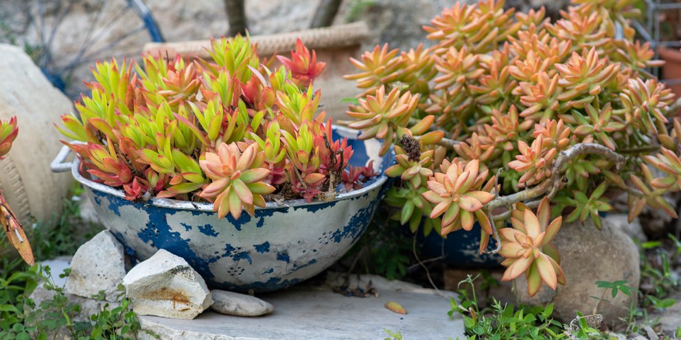 Φωτογραφία: shutterstock