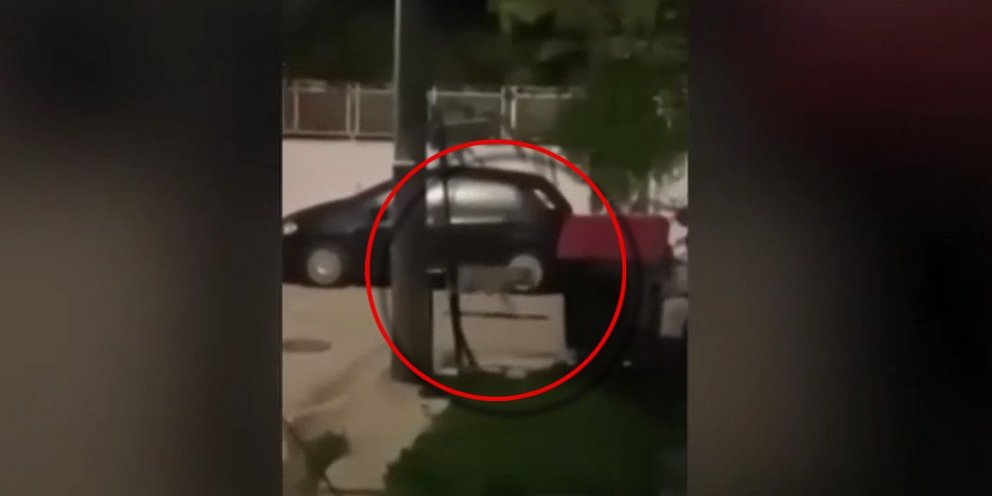 Ο λύκος που εθεάθη στο Χαϊδάρι