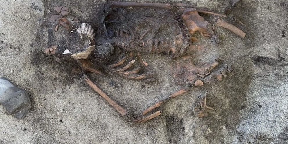 Η ανασκαφή πραγματοποιήθηκε από αρχαιολόγους του Μουσείου του Νορβηγικό Πανεπιστήμιο Επιστήμης και Τεχνολογίας / Νορβηγικό Πανεπιστήμιο Επιστήμης και Τεχνολογίας