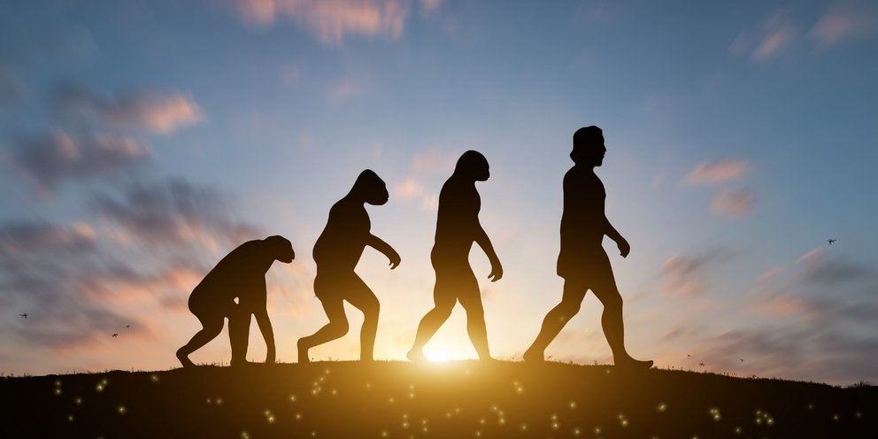 Η εξέλιξη του ανθρώπινου είδους