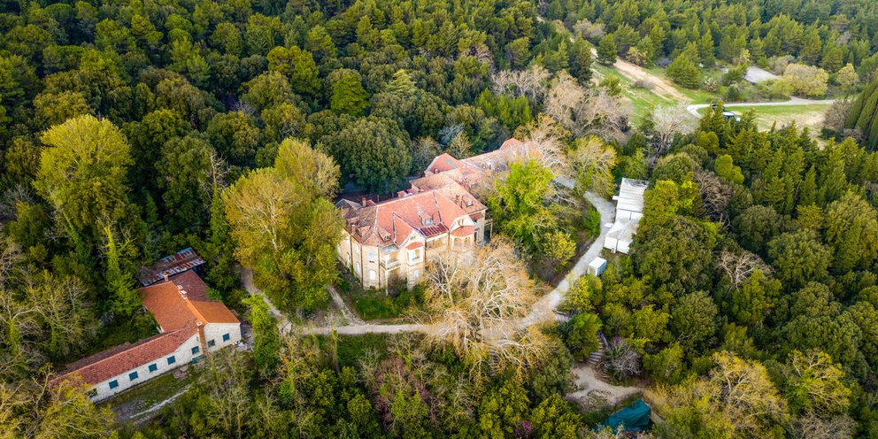 Βασιλικό κτήμα