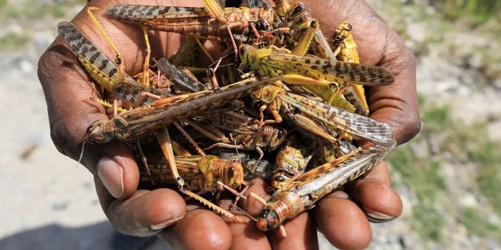 Οι τοπικές αρχές σε Λανθαρότε, Τενερίφη, Γκραν Κανάρια και Φουερτεβεντούρα καλούν σε ψυχραιμία / SHUTTERSTOCK