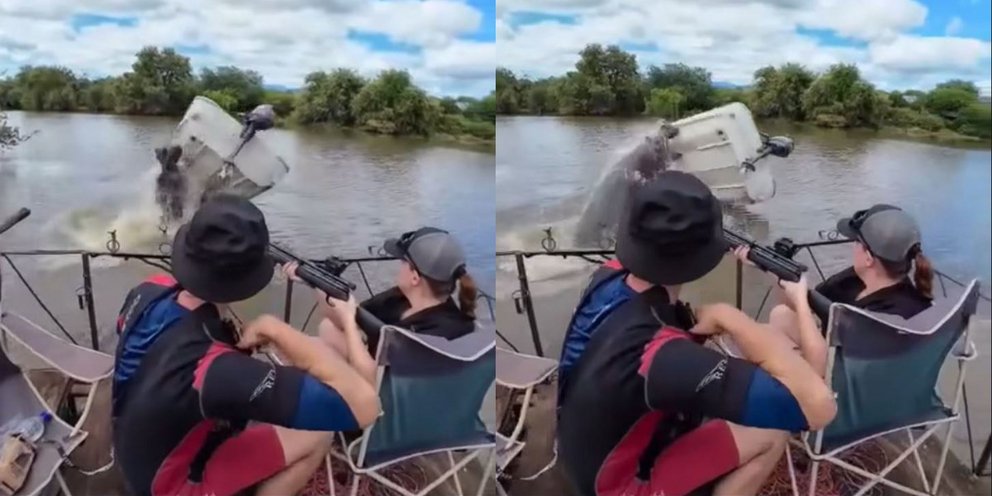 Η στιγμή της επίθεσης του ιπποπόταμου στο σκάφος