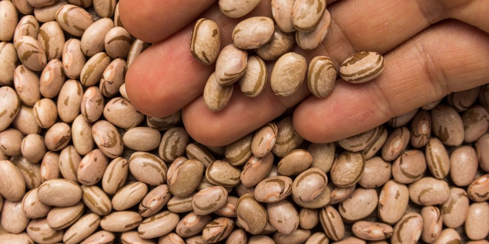 φασόλια τεπάρι