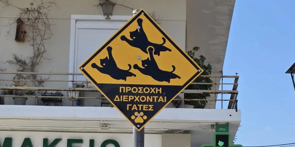 Νέες πινακίδες για την προστασία των ζώων στους δρόμους 