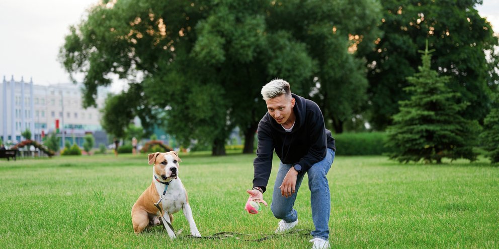 Άνδρας παίζει με σκύλο πετώντας του την μπάλα
